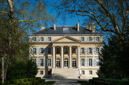 Chateau Margaux-Bordeaux Vineyard photo
