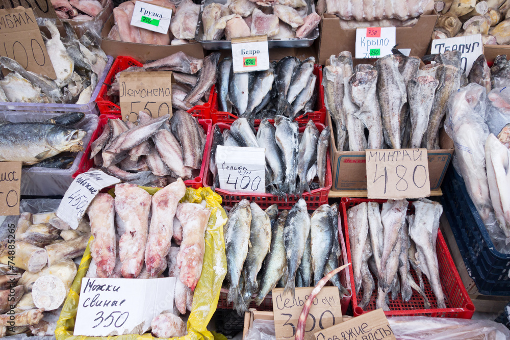 raw fish raw fish