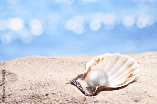 Shell with a pearl.