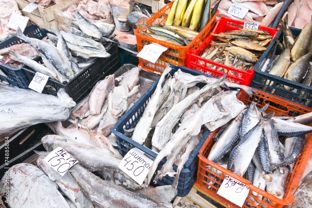 raw fish raw fish