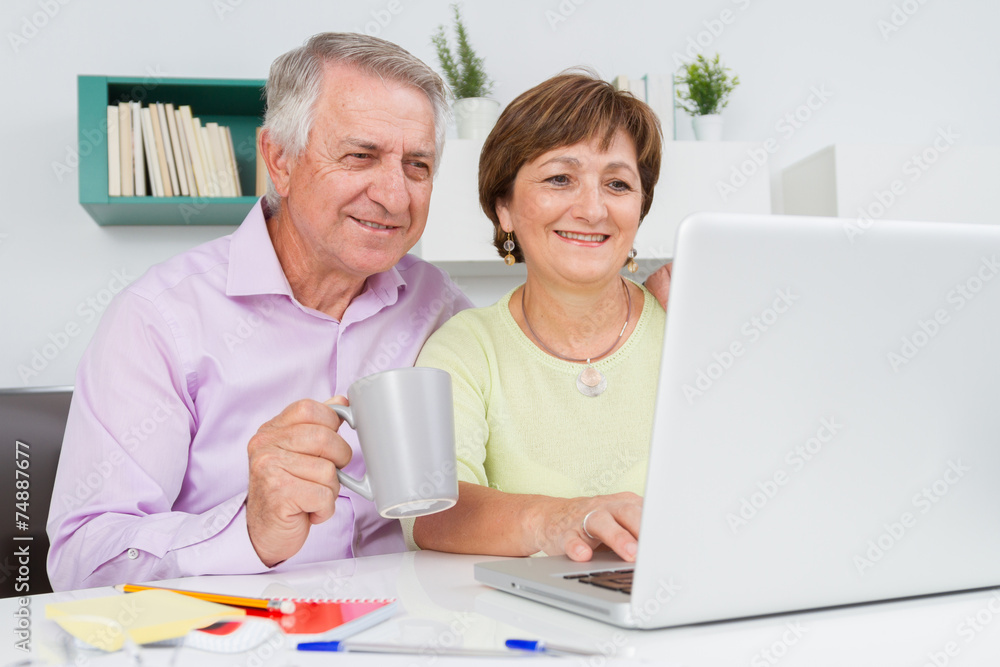Seniors couple using a laptop computer