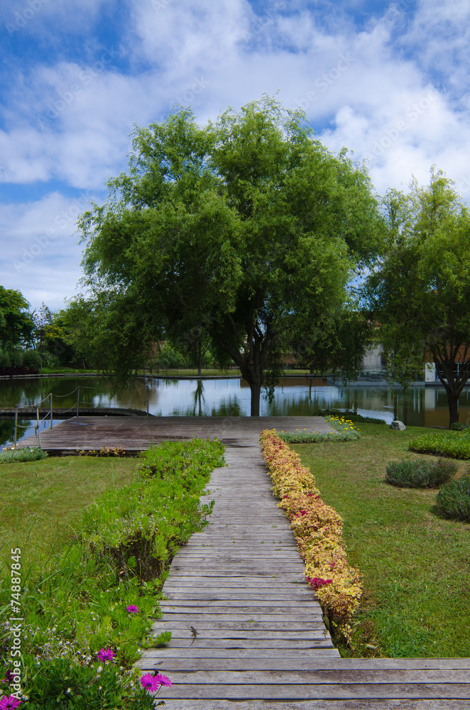 Camino de la naturaleza