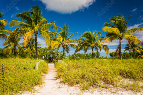 Palm trees and beach path at Smathers Beach, Key West, Florida. © jonbilous