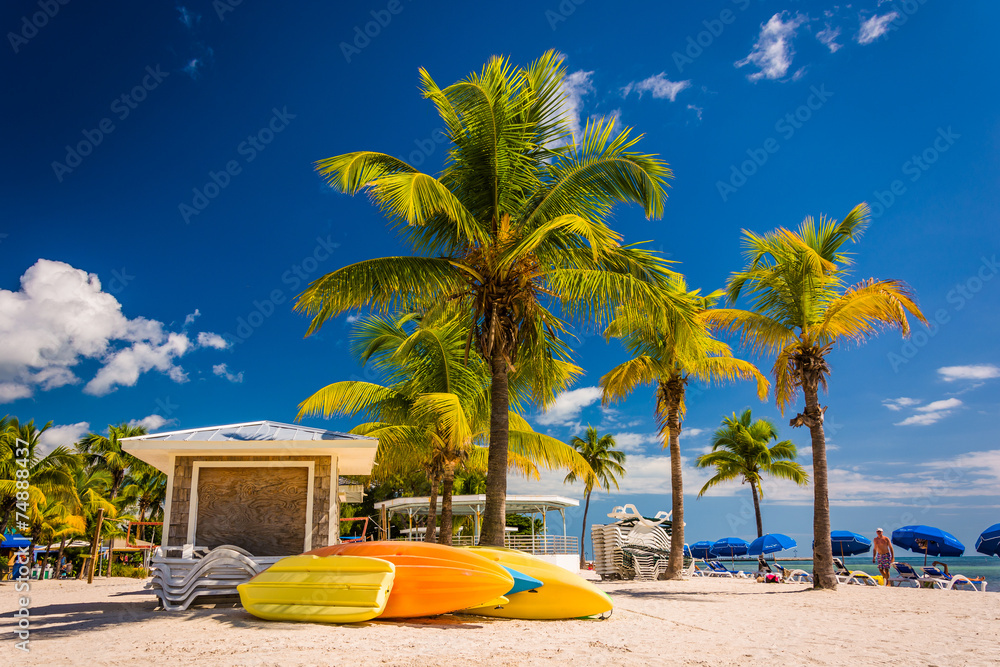 Palm trees on the beach in Key West, Florida. - obrazy, fototapety, plakaty 