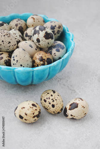 Quail eggs in a ceramic blue bowl on a gray conctrete background photo