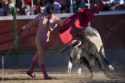 Bullfighter in a bullring