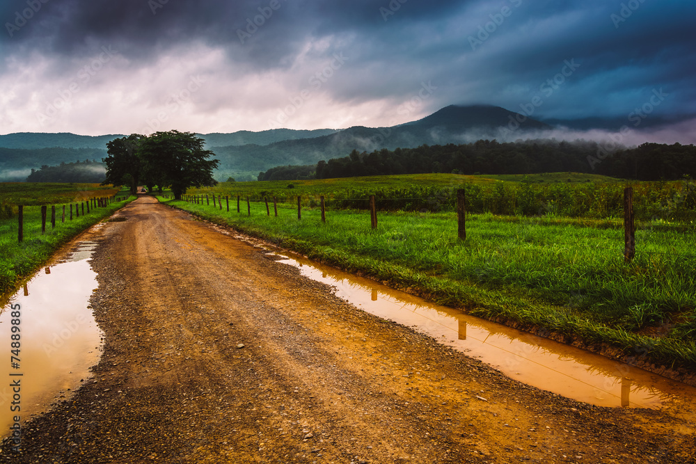 Puddles on a dirt road on a foggy morning at Cade's Cove, Great