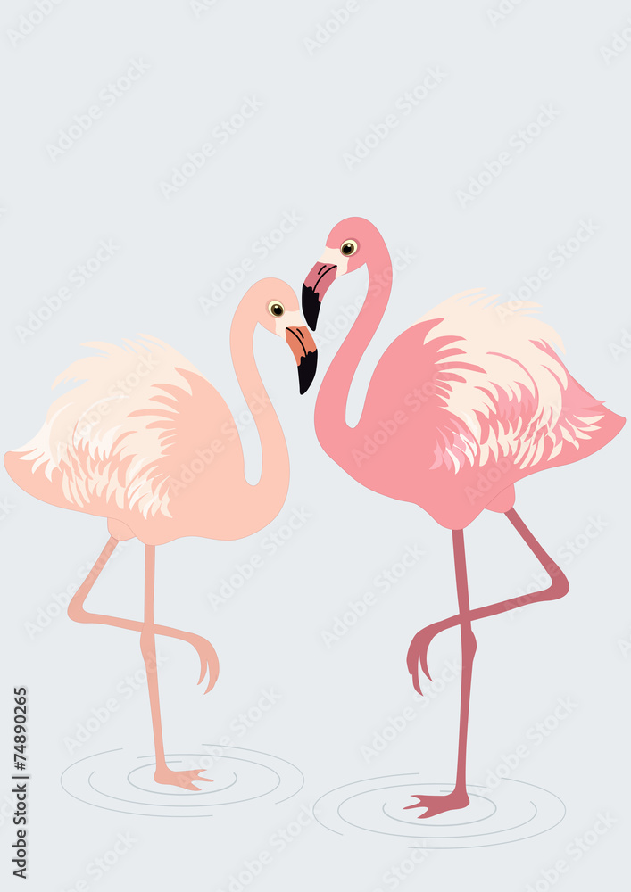 Obraz premium Pair of flamingos