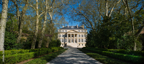 Chateau Margaux-Bordeaux Vineyard photo