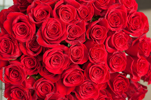 Fototapeta Naklejka Na Ścianę i Meble -  red roses