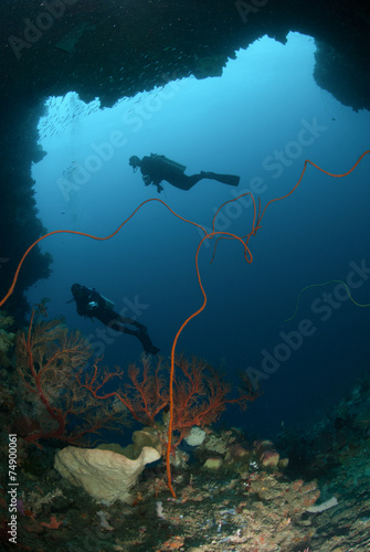 Divers, sponge, wire corals in Ambon, Maluku underwater