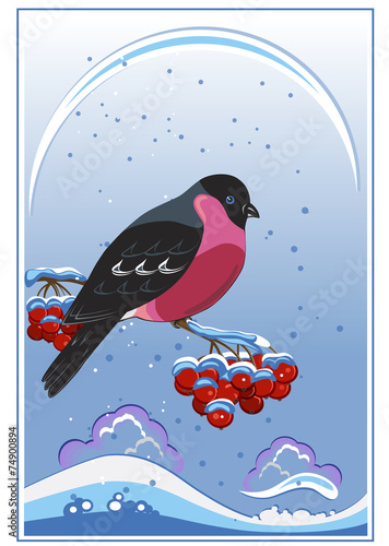 Bullfinch, illustration, greeting card