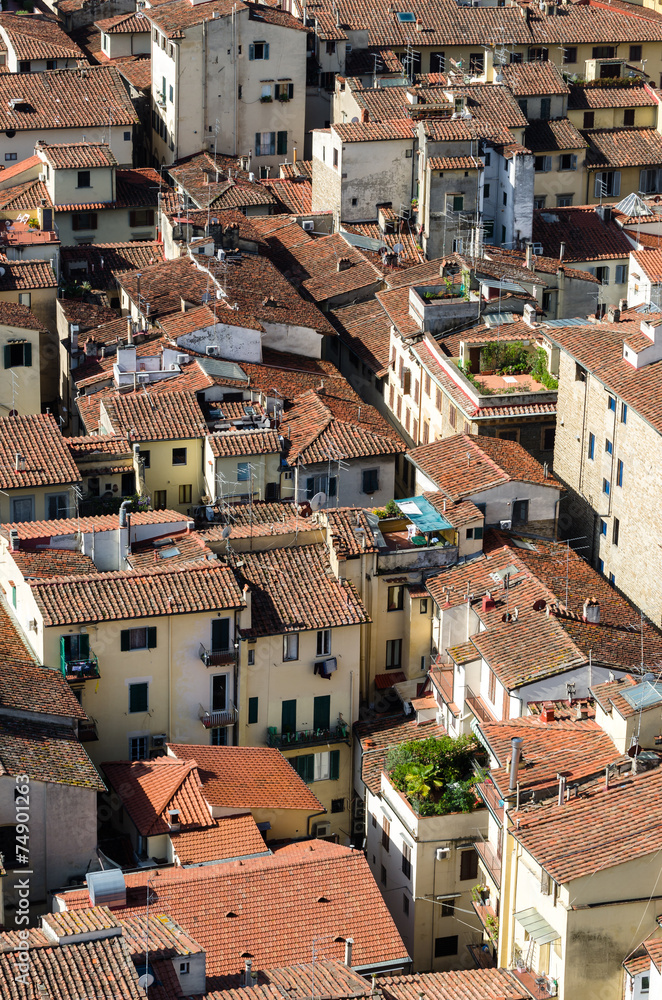 Florence roofs