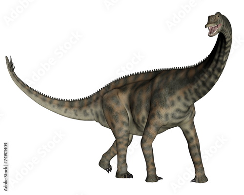 Fototapeta Naklejka Na Ścianę i Meble -  Spinophorosaurus dinosaur standing - 3D render