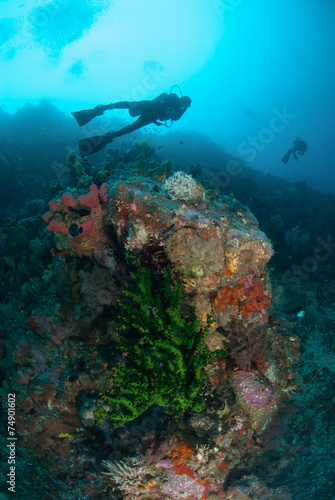 Diver, black sun coral in Ambon, Maluku underwater photo