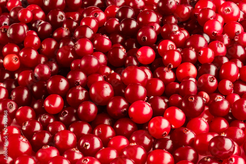 Cranberries background