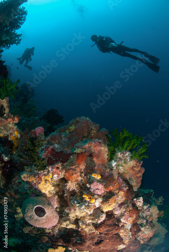 Diver, sponges, black sun coral in Ambon, Maluku underwater