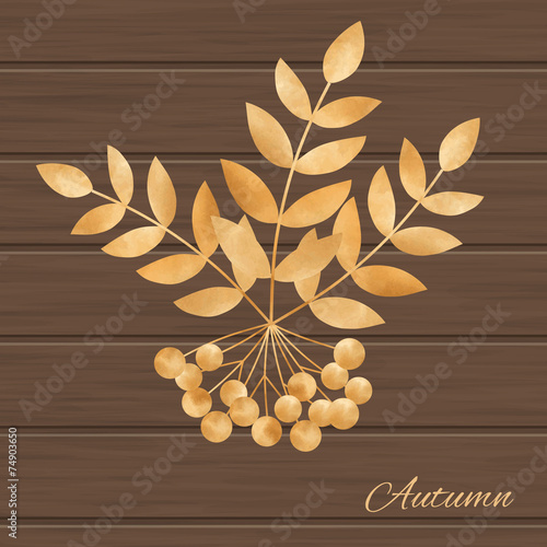 Illustration of leaves and rowanberry