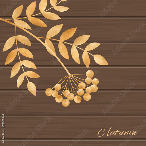 Illustration of leaves  and rowanberry