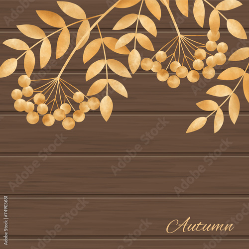 Illustration of leaves  and rowanberry