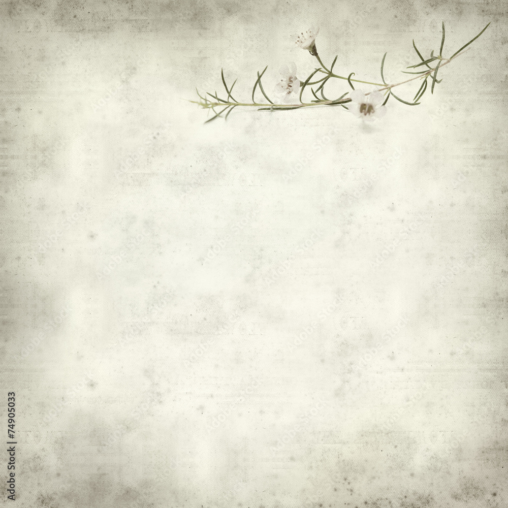 textured old paper background textured old paper background