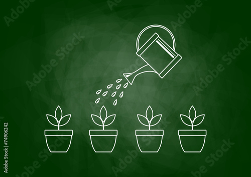 Drawing of plants on blackboard