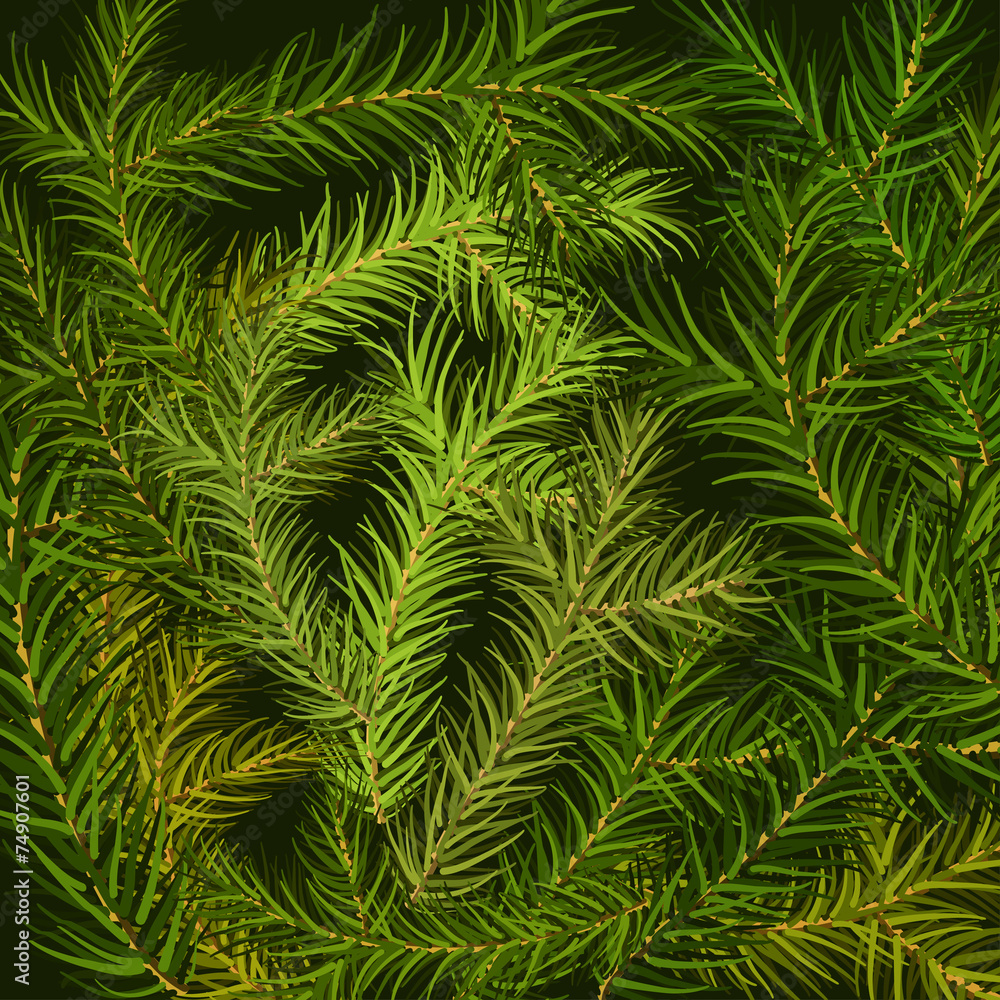 Christmas tree fir branch background. Vector illustration.