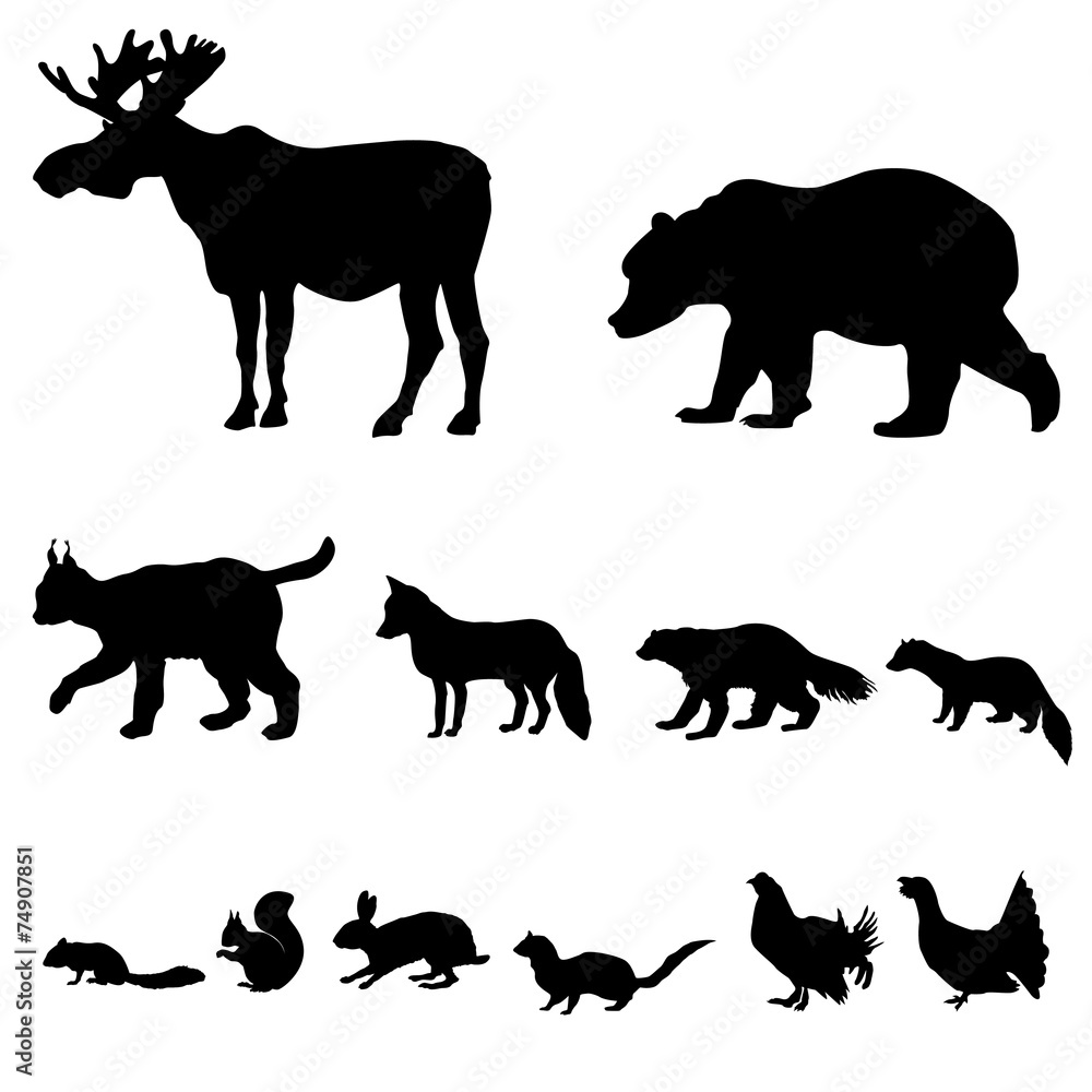 Animals living in taiga. Vector set of silhouette