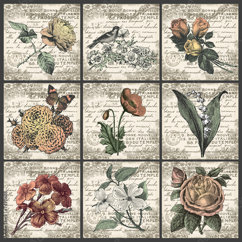 Flowers collection
