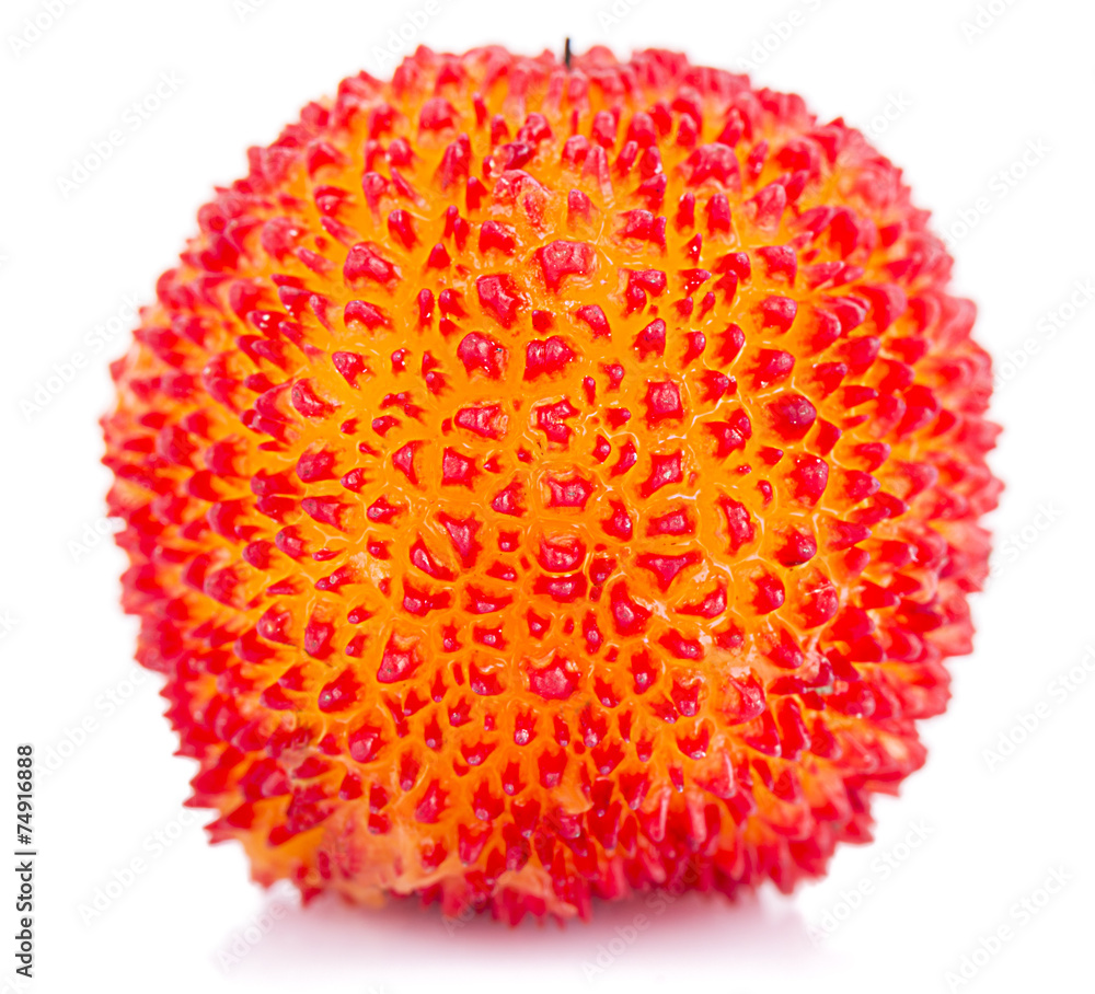Turkish wild strawberry isolated on white background. Turkish wild strawberry isolated on white background.