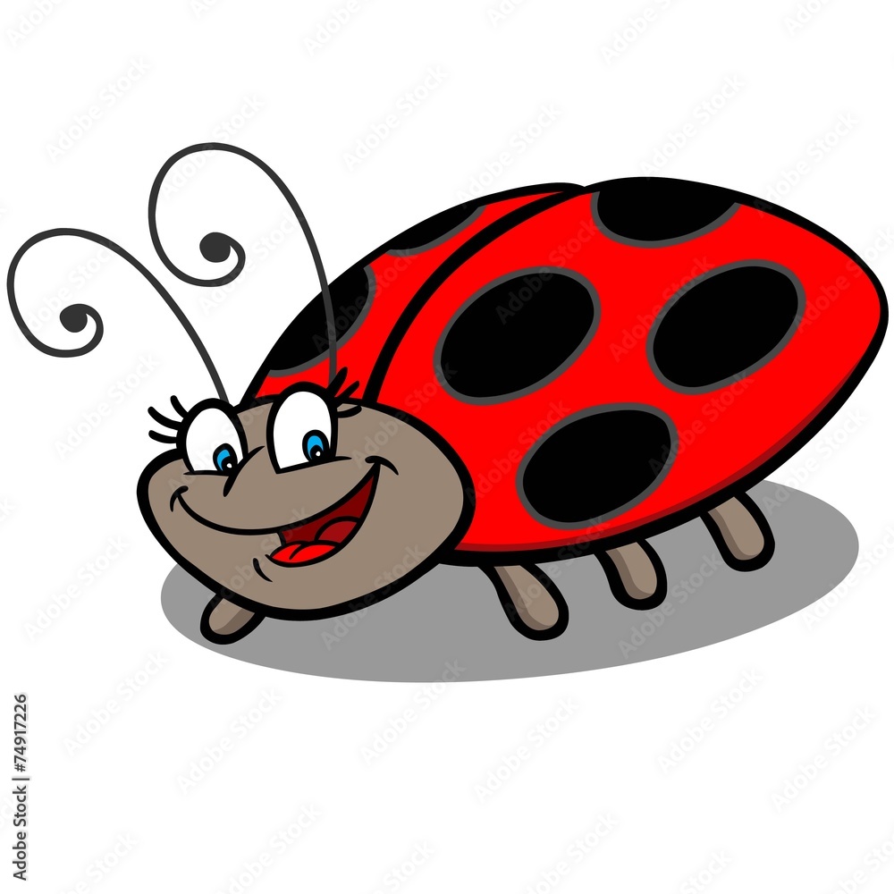 Obraz premium Ladybug