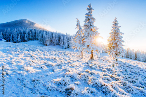 sunny winter landscape © standret