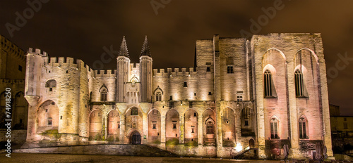 Slika na platnu Palais des Papes in Avignon, a UNESCO heritage site, France