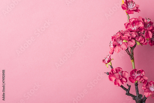 Chinese new year's decoration
