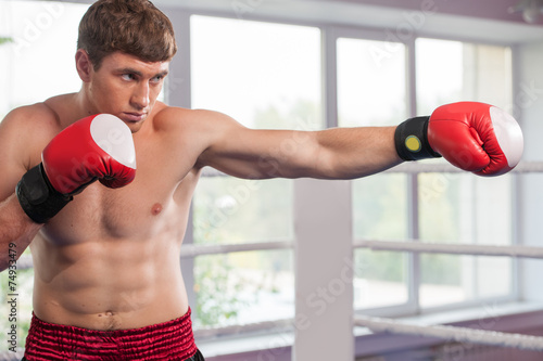 Handsome muscular young man wearing boxing gloves. © BlueSkyImages