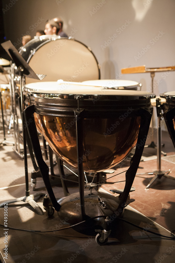 Fototapeta premium TIMBALE_01