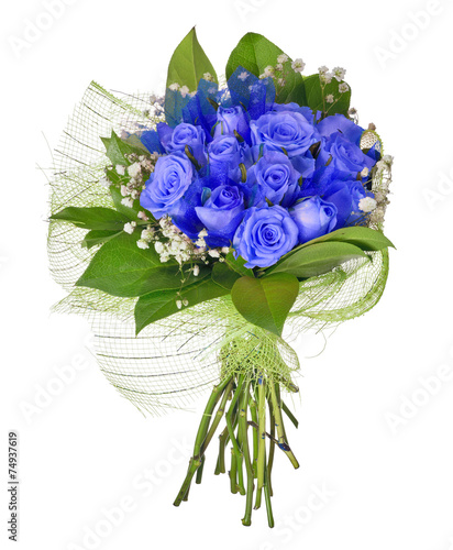Fényképezés bunch of blue rose flowers isolated on white