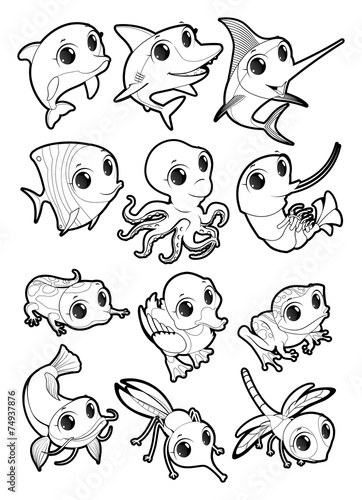 Marine animals and fauna of...