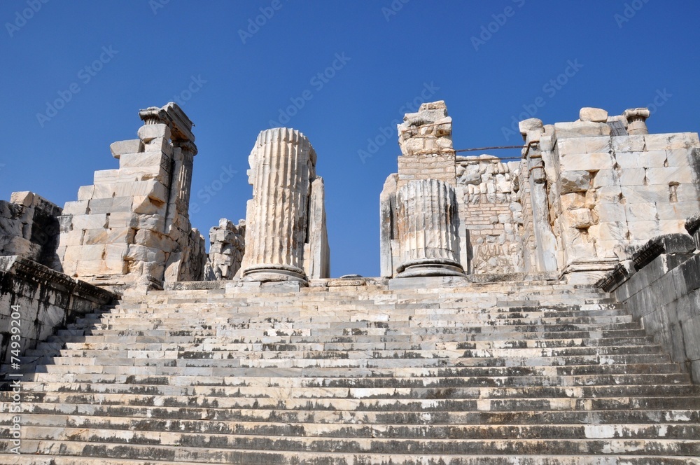 Temple of Apollo in Didyma