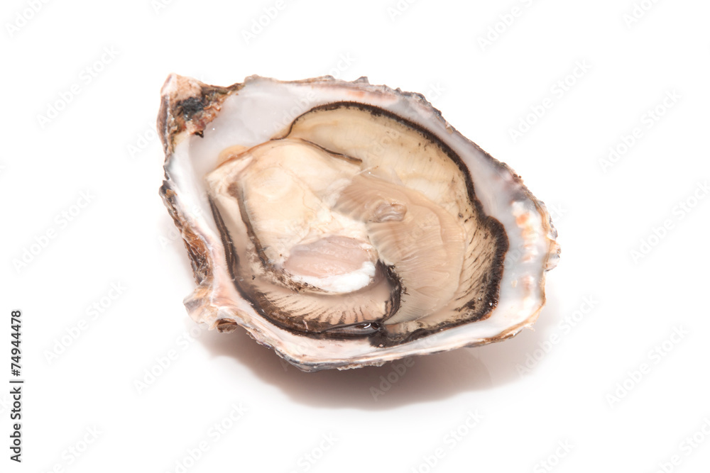Raw oyster isolated on a white studio background. Raw oyster isolated on a white studio background.