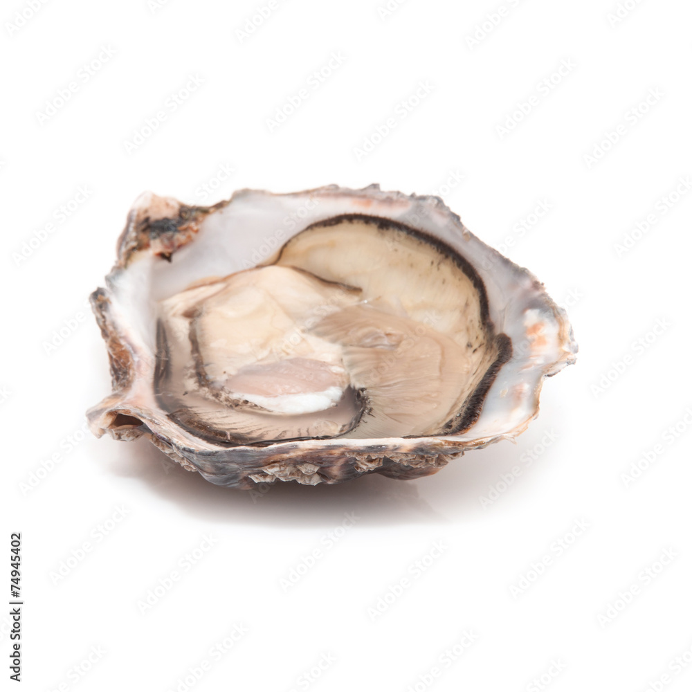 Raw oyster isolated on a white studio background. Raw oyster isolated on a white studio background.