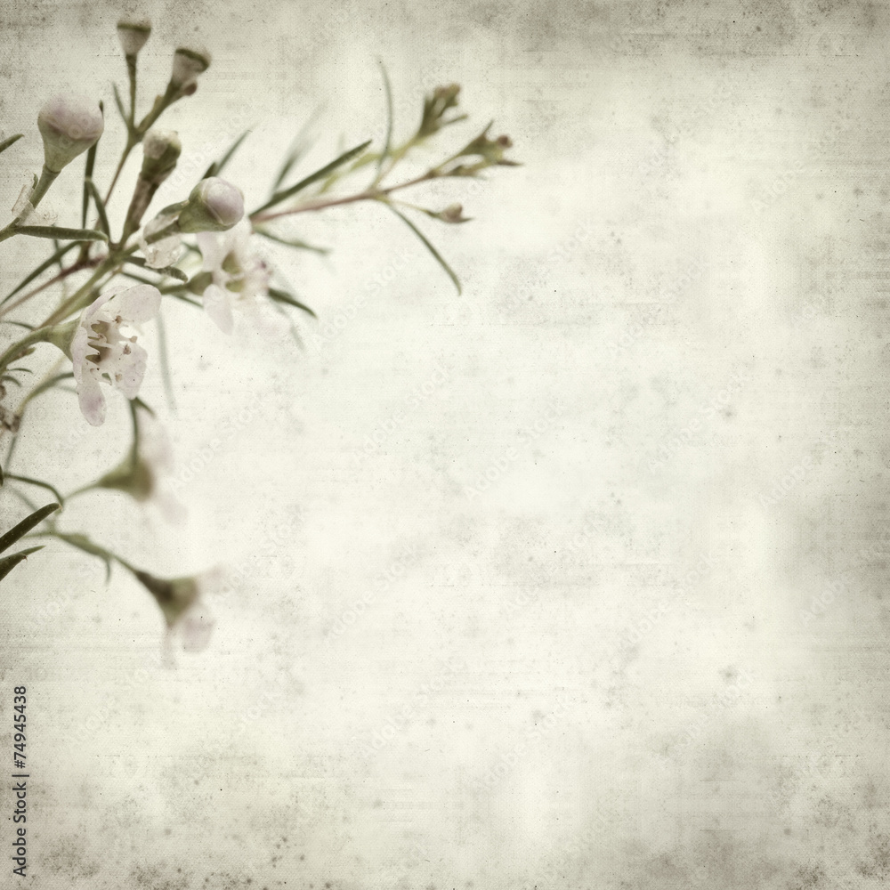 textured old paper background textured old paper background