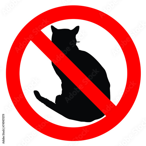 No Cats Allowed in Black and Red