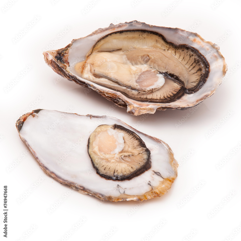 Raw oyster isolated on a white studio background. Raw oyster isolated on a white studio background.