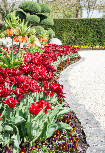 Foto Park in spring