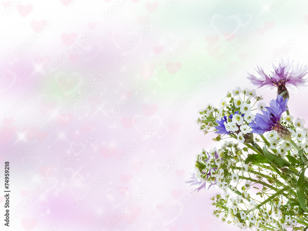 Bouquet of cornflowers. Bouquet of cornflowers.