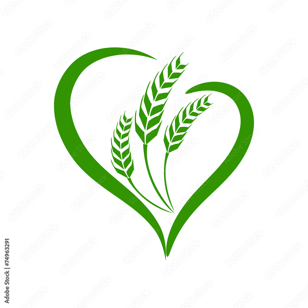 wheat vecter