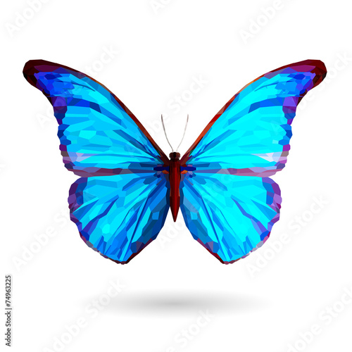 Abstract blue butterfly – Illustration