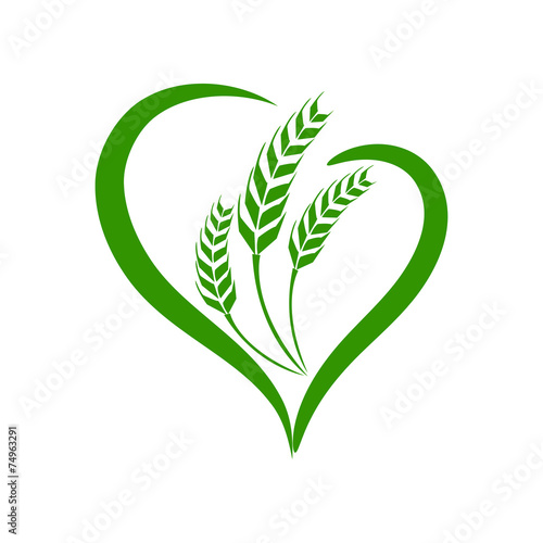 Obraz na płótnie wheat vecter w salonie