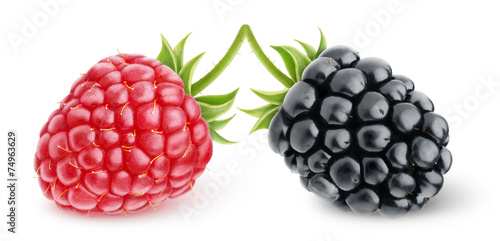 Isolated berries. Fresh raspberry and blackberry over white background, with clipping path photo